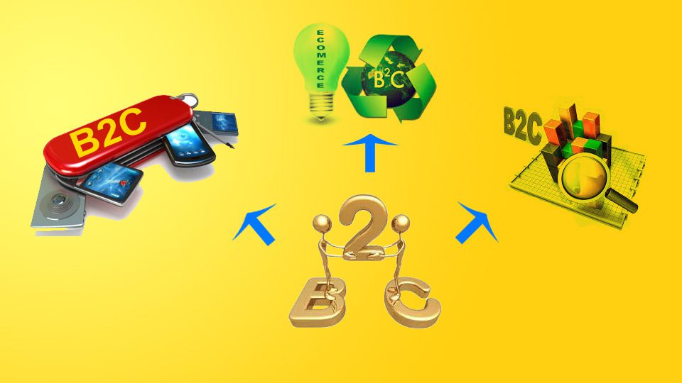 B2C Application Development in India