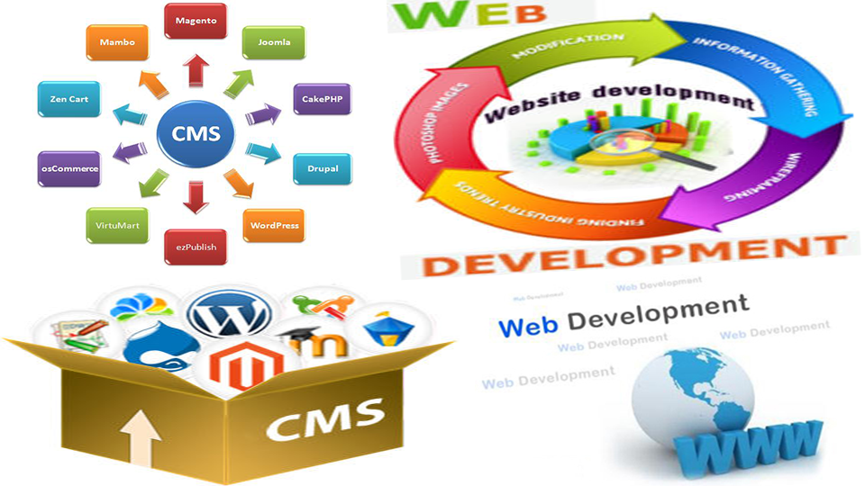 Web Development Services in Delhi